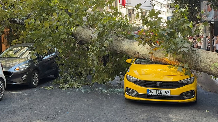 Son Gelişme: Şişli'de otomobillerin üzerine ağaç devrildi