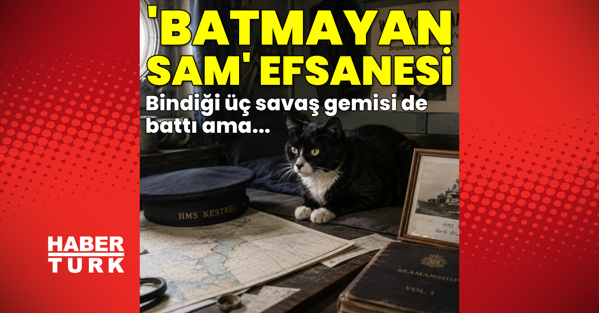 Sıcak Gündem: Mucize kedi ‘Batmayan Sam’ efsanesi ve Merak Edilenler