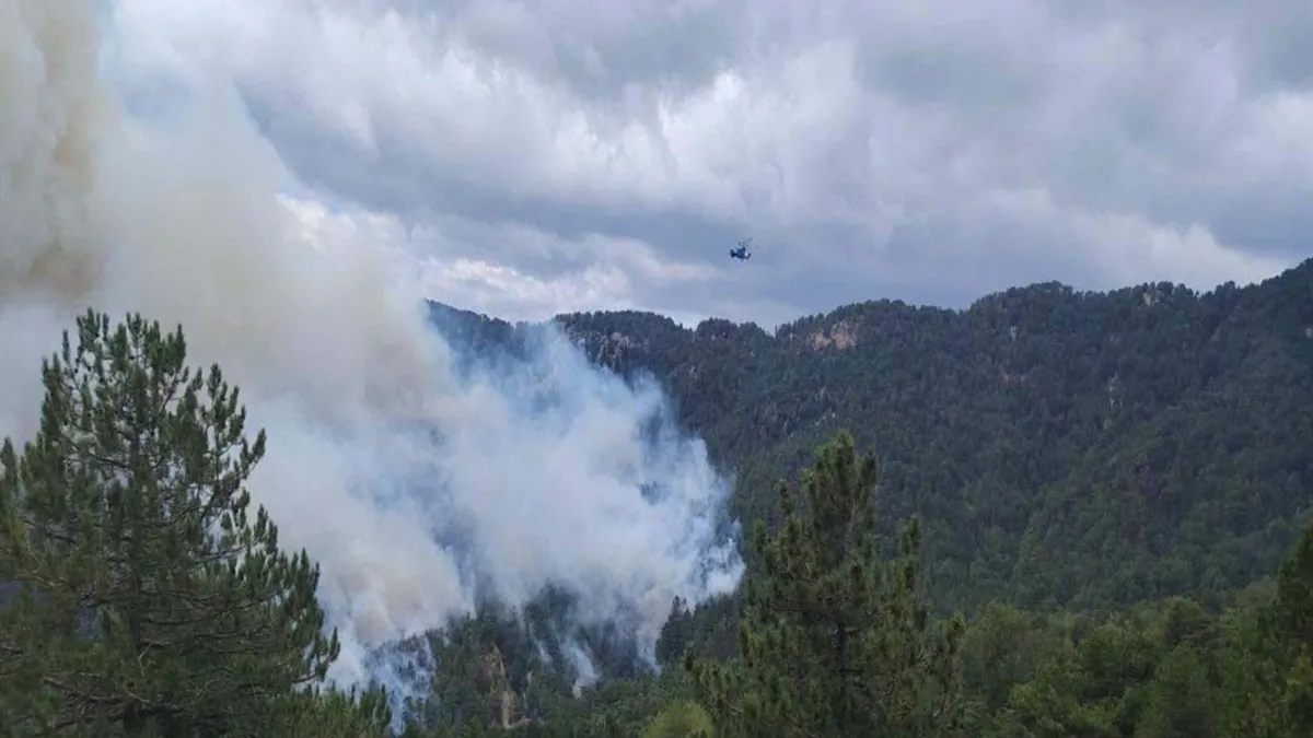 Antalya'da ki orman yangını 22 saat sonra kontrol altına alındı