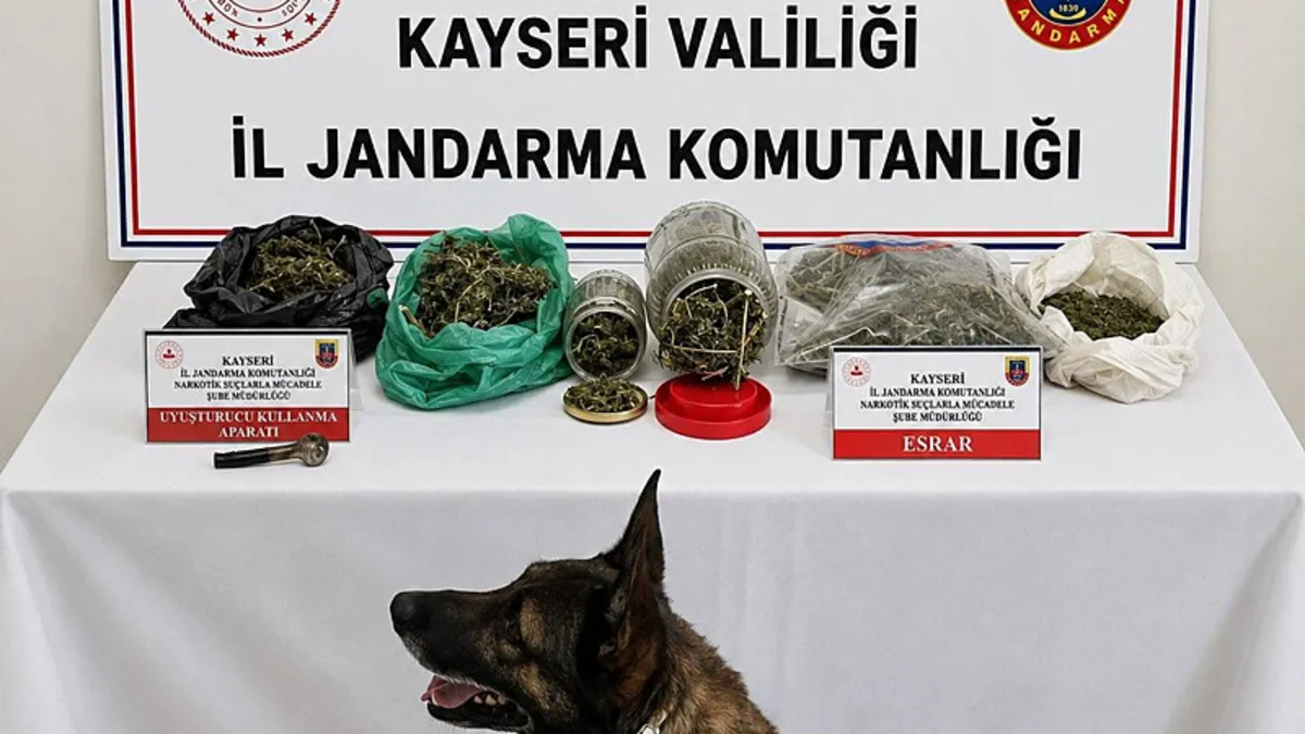 Son Gelişme: Kayseri’de 1,2 kilo esrar ele geçirildi: 1 gözaltı!: Gelişmeler Takip Ediliyor