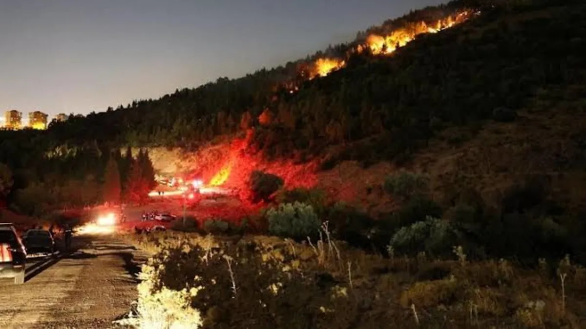 Gündemden Son Bilgiler: İzmir'de orman yangınına müdahale sürüyor