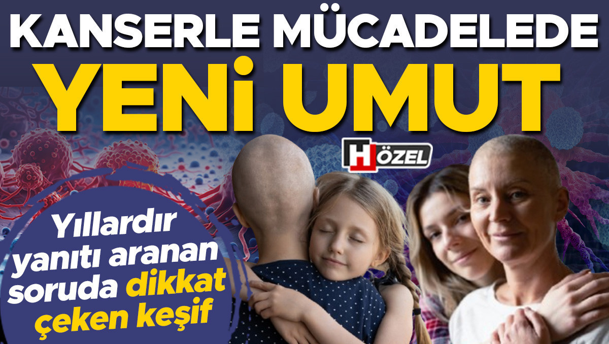 Bilim dünyasını heyecanlandıran haber: Kanserle mücadelede yeni umut! Yıllardır yanıtı aranan soruda ezber boz