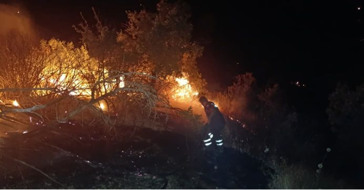 Kritik Açıklama: 5 ilde yangınlarla mücadele - Son Dakika Bilgileri