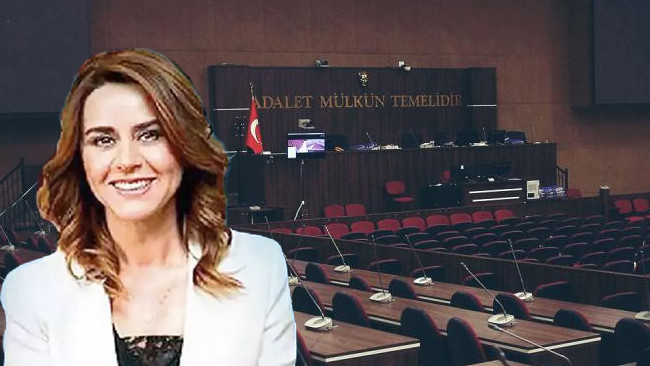 Kritik Açıklama: Ünlülerin de aralarında olduğu kişileri dolandırdığı iddiasıyla tutuklanmıştı! Seçil Erzan ha