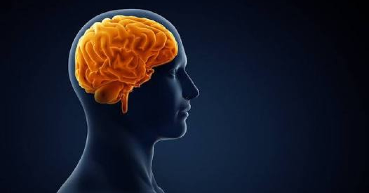 Ayrıntılar Netleşti: Alzheimer hastaları sosyal hayatın içinde kalmalı - Son Dakika Bilgileri