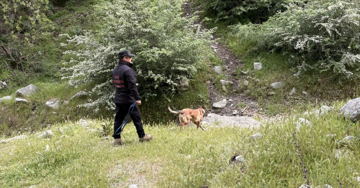Son Gelişme: Sivas’ta kayıp bebek aranıyor ve Merak Edilenler