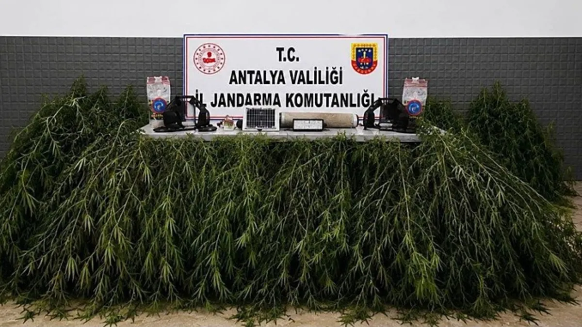 Kritik Açıklama: Domates serasında kenevir operasyonu | İşte Tüm Ayrıntılar