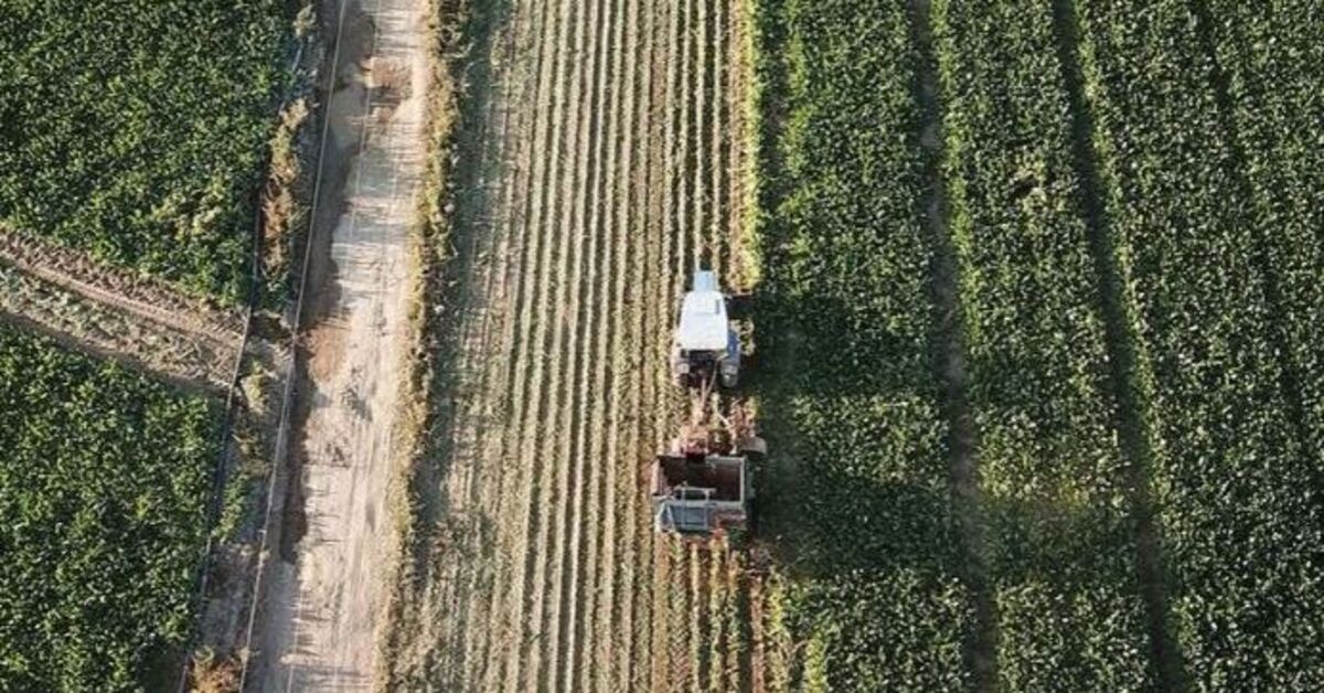 Sıcak Gündem: Kırsal kalkınma yatırımlarına 12,5 milyar liralık hibe desteği ve Merak Edilenler