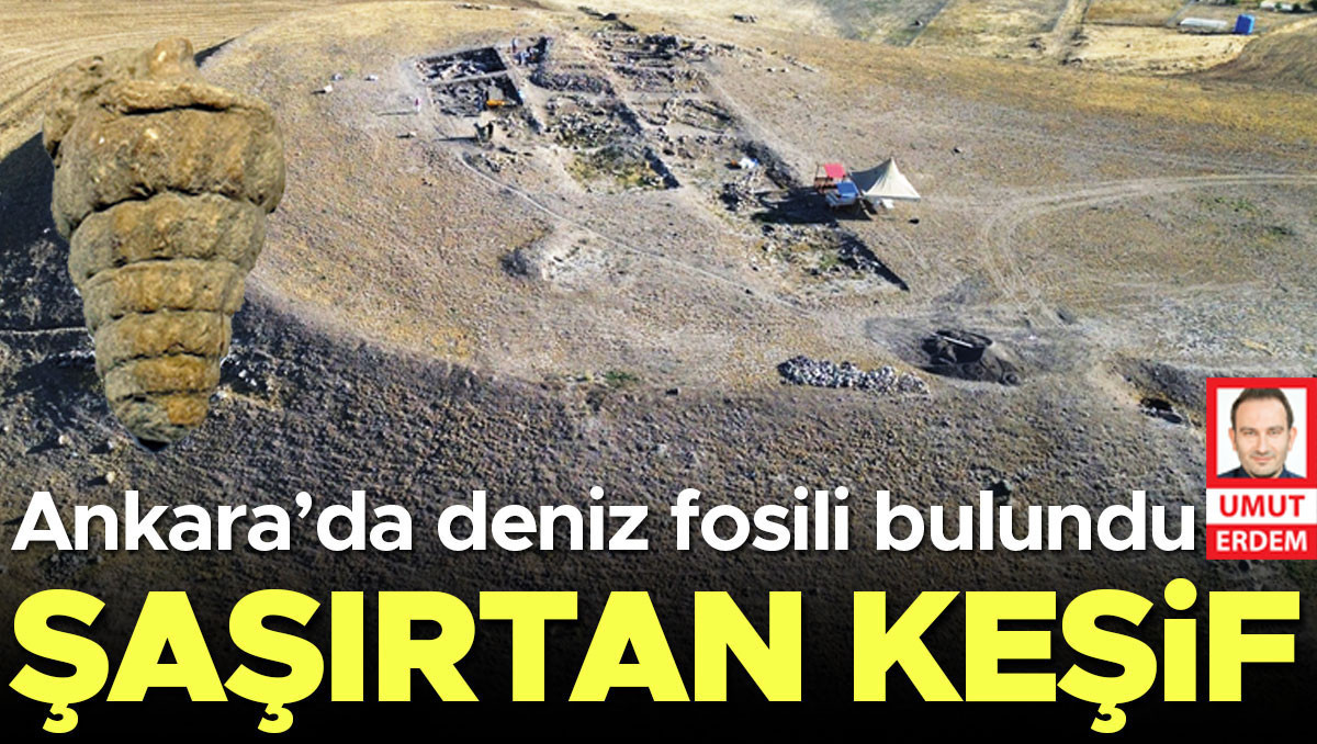 Başkentte şaşırtan keşif: Ankara’da deniz fosili bulundu: Gelişmeler Takip Ediliyor