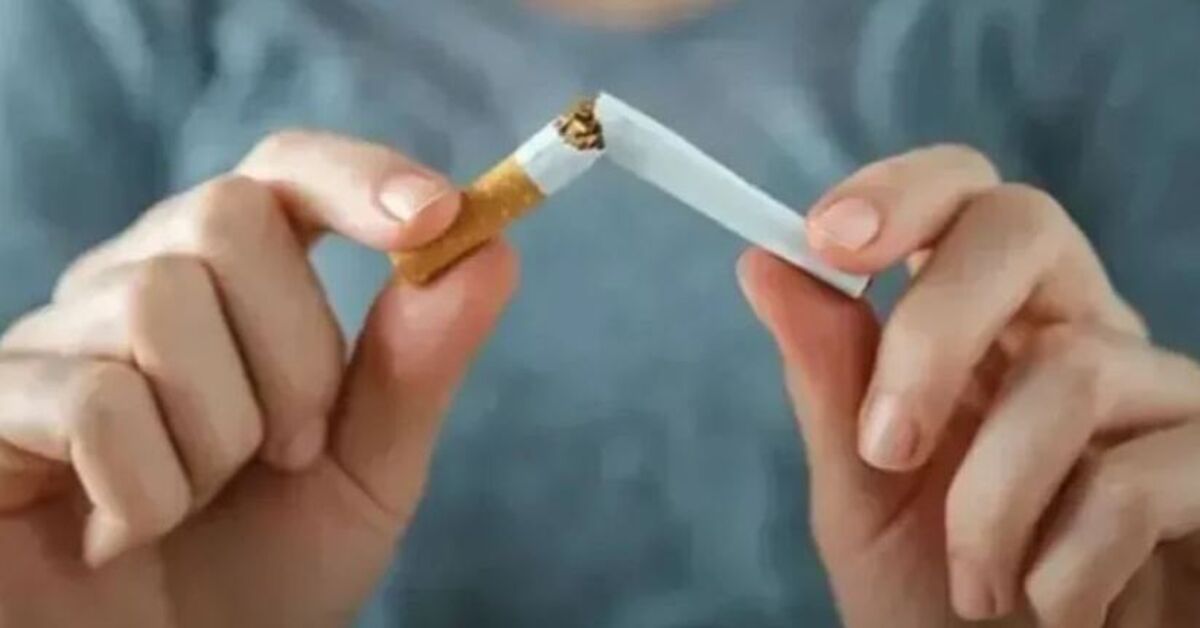 Yaprak sigara kağıdına yeni düzenleme