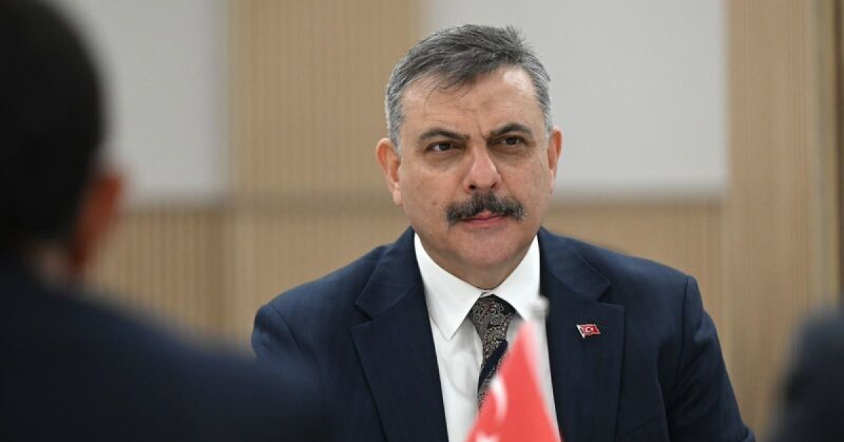 Kritik Açıklama: "Sokak hayvanlarının yüzde 99,22'si toplandı" | İşte Tüm Ayrıntılar