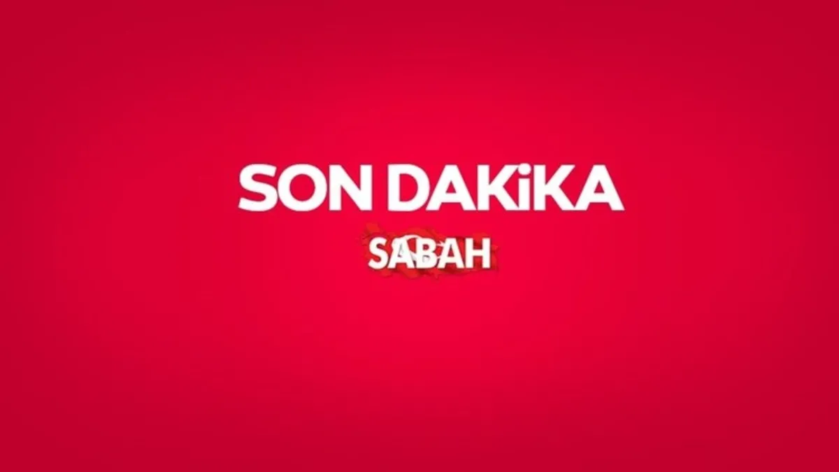 Kritik Açıklama: Alihan Kuriş suç örgütü soruşturmasında yeni gelişme! 29 gözaltı kararı, 23 şirkete kayyum