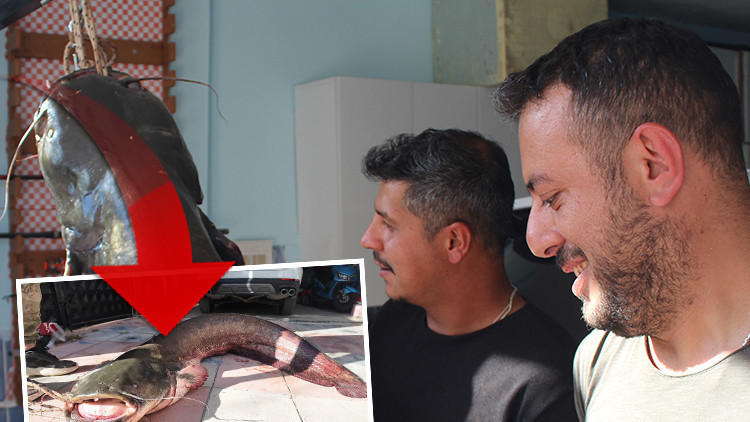Son Gelişme: 3 arkadaş gözlerine inanamadı! Sivas'taki nehirde tuttular: Tam 190 santim uzunluğunda | İşte Tüm