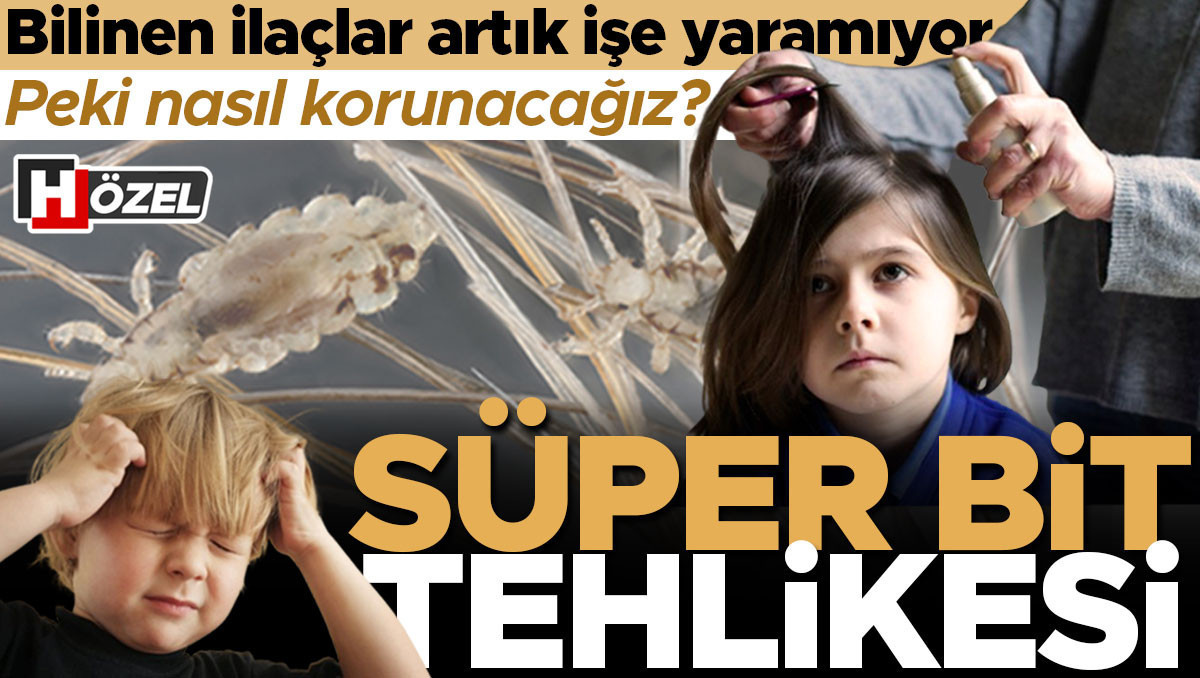 Gündemden Son Bilgiler: ‘Süper bit’ tehlikesi! Geleneksel ilaçlar artık işe yaramıyor, doğal yöntemler de etki