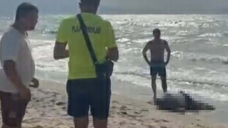 Gündemden Son Bilgiler: Kuşadası'nda acı son: Yattan denize düşen iş insanı sahilde ölü bulundu | İşte Tüm Ayr