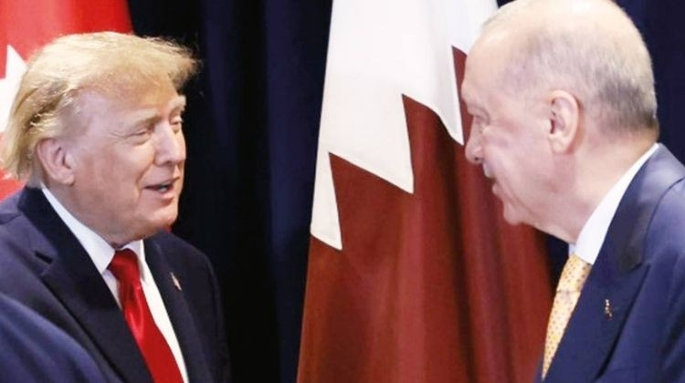 Son Gelişme: ‘Erdoğan harika biri’ - Son Dakika Bilgileri