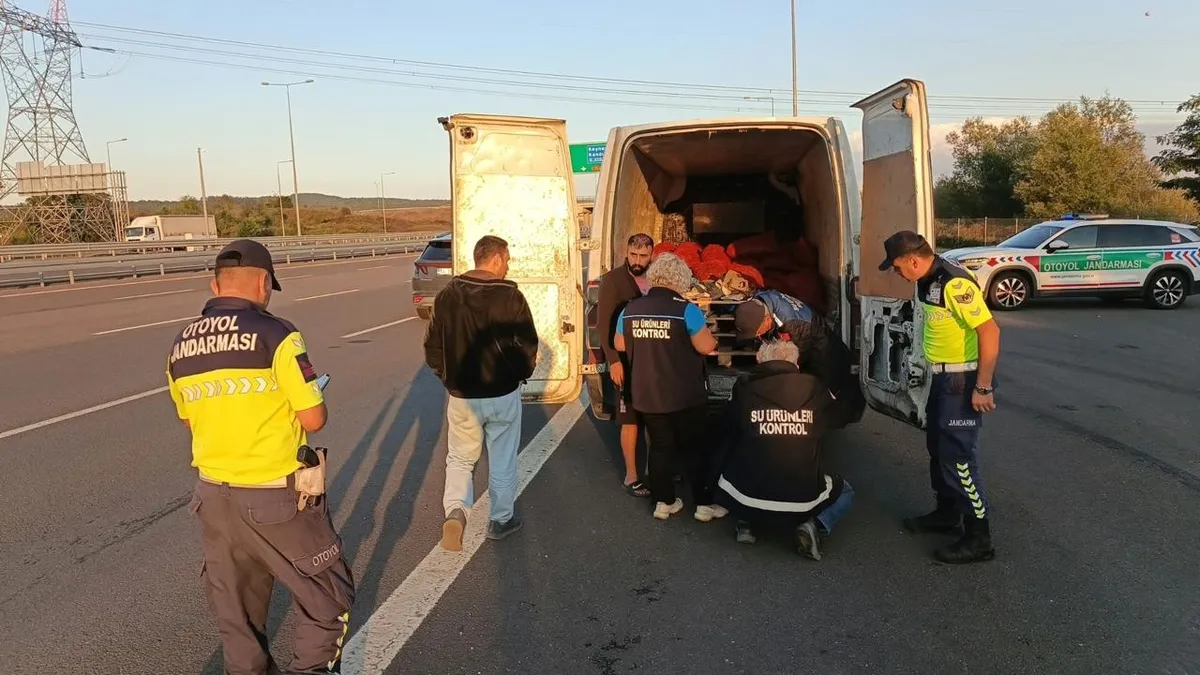 Gündemden Son Bilgiler: Kuzey Marmara Otoyolu'nda durdurulan bir araçta 2,2 ton kaçak midye ele geçirildi: Gel