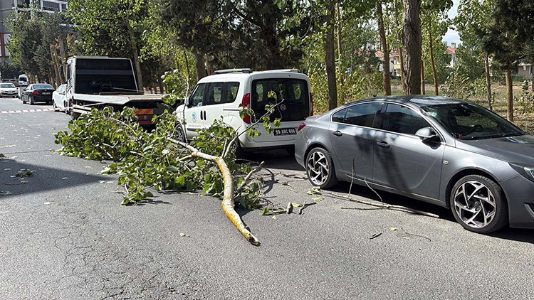 Gündemden Son Bilgiler: Tekirdağ’da şiddetli rüzgara dayanamayan ağaç dalı iki aracın üzerine gerileme kaydett