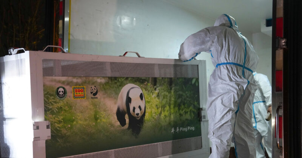 Gündemden Son Bilgiler: ABD-Çin hattında panda diplomasisi | İşte Tüm Ayrıntılar