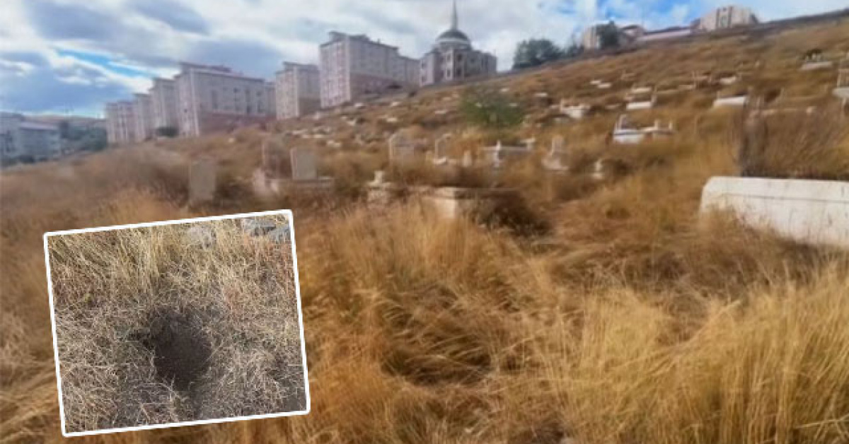 Son Gelişme: Kars'ta bebek vahşeti! Ağzından peçete çıktı ve Merak Edilenler