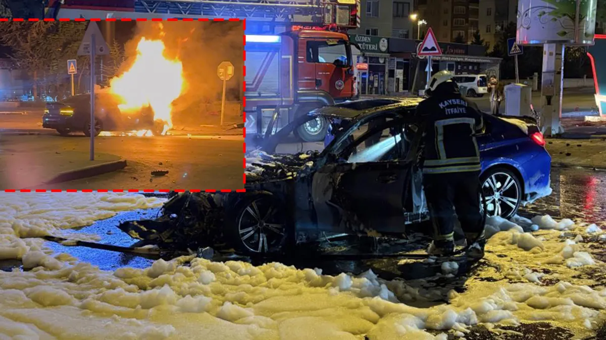 Ayrıntılar Netleşti: Kontrolden çıkan otomobil ağaca çarpıp alev aldı:1'i ağır 2 yaralı - Son Dakika Bilgileri