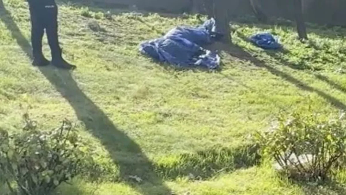 Gündemden Son Bilgiler: Esenler’de çimenlik alanda erkek cesedi bulundu - Son Dakika Bilgileri