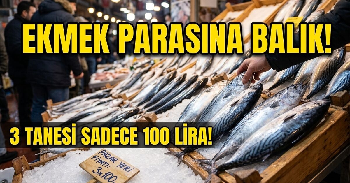 Ekmek parasına balık!: Gelişmeler Takip Ediliyor