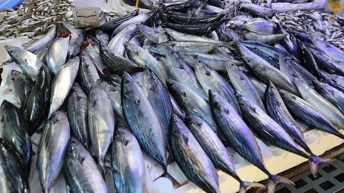 Ayrıntılar Netleşti: 3 saatte 1.500 kasa avladılar! Tanesi 40 liraya kadar gerileme kaydetti