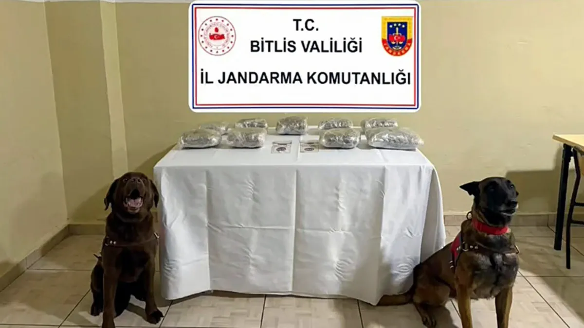 Kritik Açıklama: Bitlis’te uyuşturucu operasyonu: 13 kişi hakkında tutuklama kararı verildi!