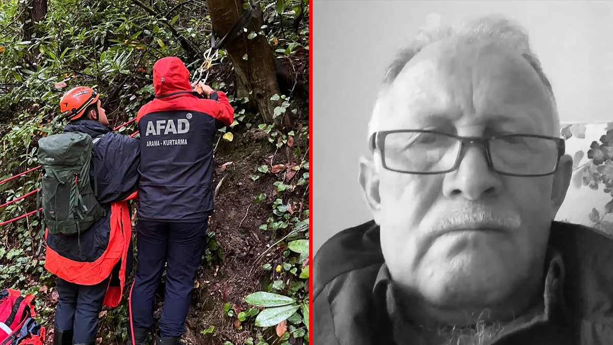 Son Gelişme: Sakarya’dan acı haber! Kestane toplamak için ormana gitti: Yaşlı adamın cansız bedenine ulaşıldı!