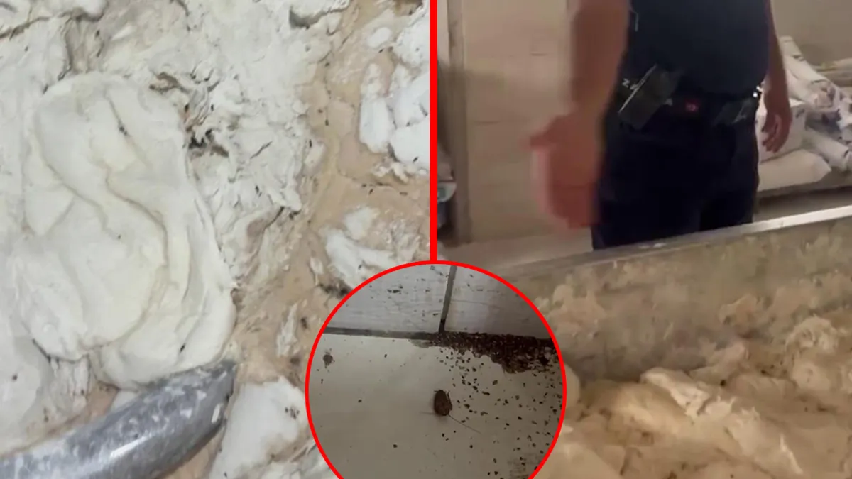 Kritik Açıklama: Hatay'da fırında mide bulandıran görüntüler: Hamam böcekleri ve sigara izmaritlerinden geçilm