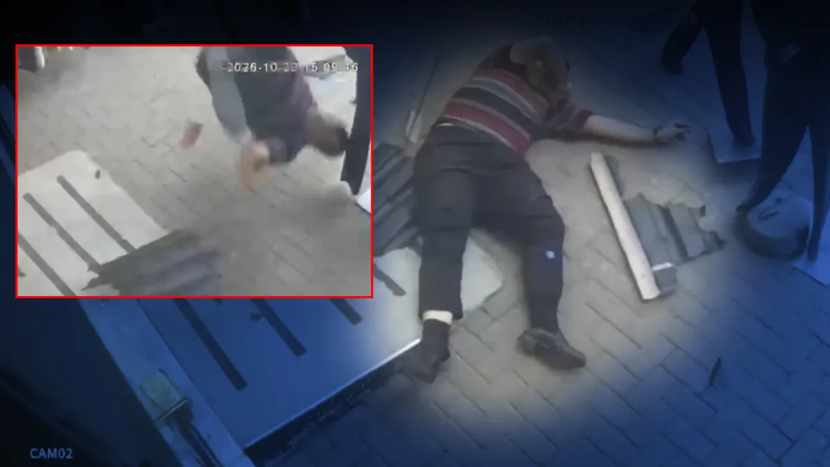 Bursa'da kahreden olay! Kediyi kurtarmak isterken canından oldu: O anlar kamerada! | İşte Tüm Ayrıntılar