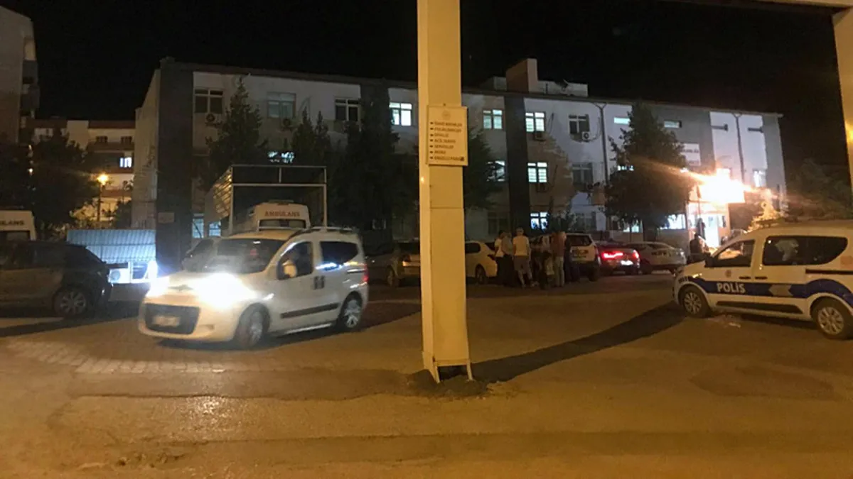 Ayrıntılar Netleşti: Mardin'de iki otomobil çarpıştı: 6 yaralı - Son Dakika Bilgileri