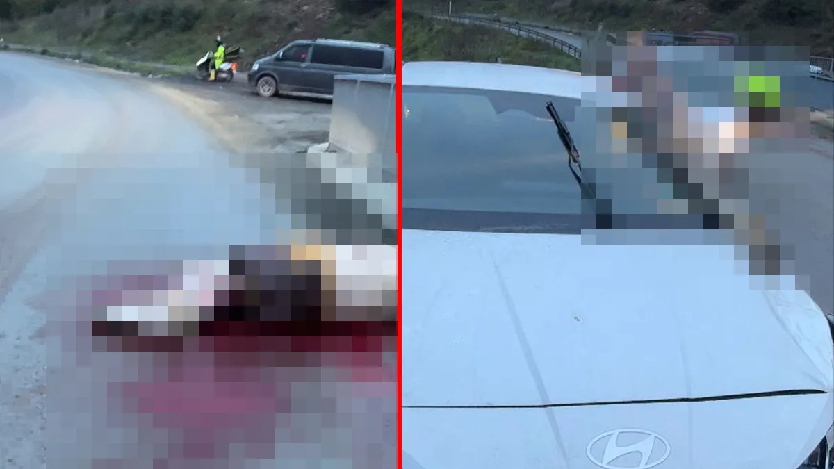 Son Gelişme: Arnavutköy’de korkunç kaza! Otomobil ata çarptı: Atın kopan bacağı araca saplandı!