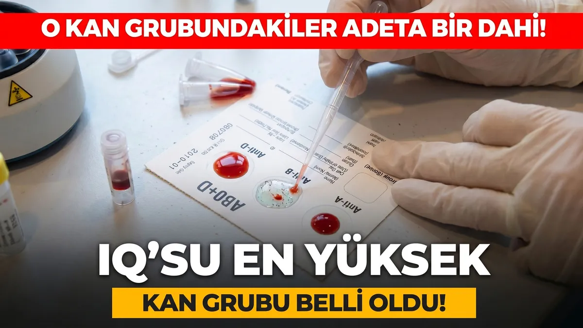 Japon bilim insanları inceledi: IQ seviyesi en yüksek çıkan kan grubu hangisi? ve Merak Edilenler
