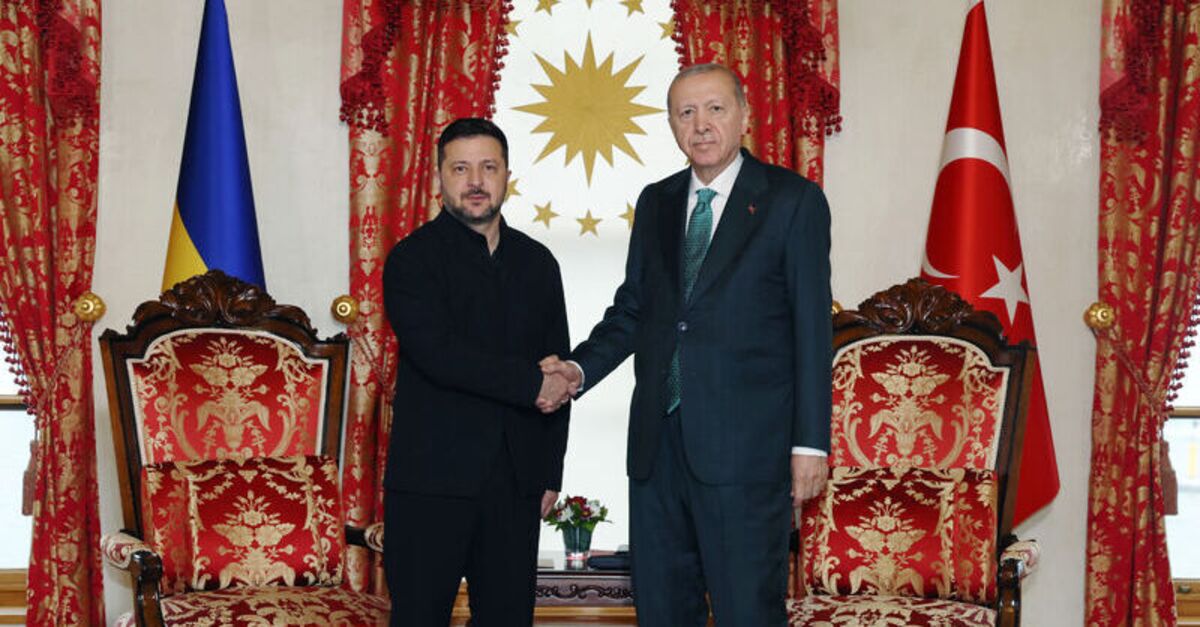Kritik Açıklama: Cumhurbaşkanı Erdoğan, Ukrayna lideri Zelenskiy'le görüştü
