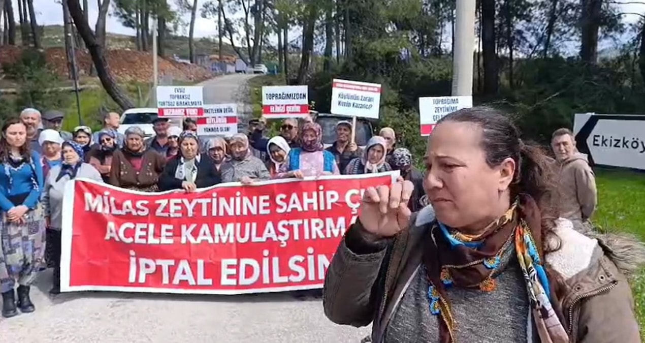 Son Gelişme: Akbelen’de keşif ağıdı - Son Dakika Haberleri