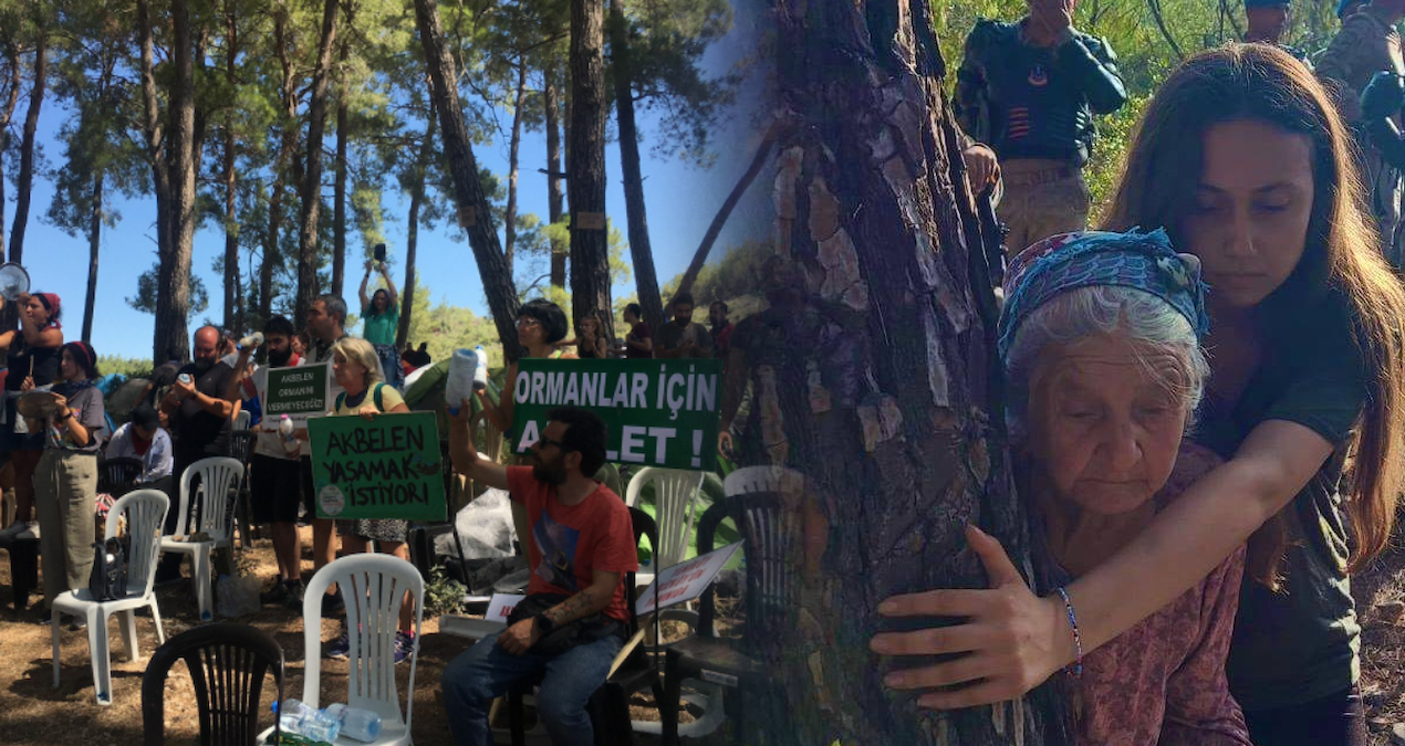 Son Gelişme: Akbelen'de sonunda güzel haber: Direne direne kazandılar - Son Dakika Haberleri - Son Dakika Bilg