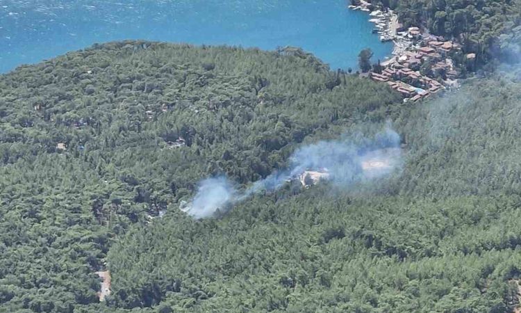 Akyaka'da Orman Yangını Kontrol Altına Alındı: Gelişmeler Takip Ediliyor
