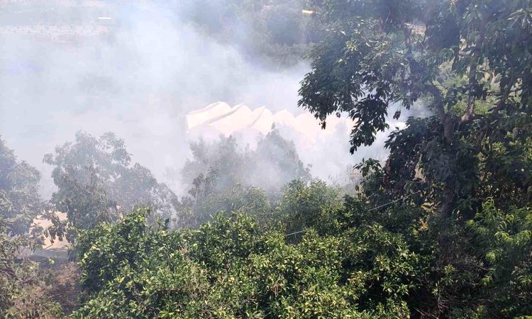 Flames in the agricultural area where avocado gardens are located in Alanya - Last Minute