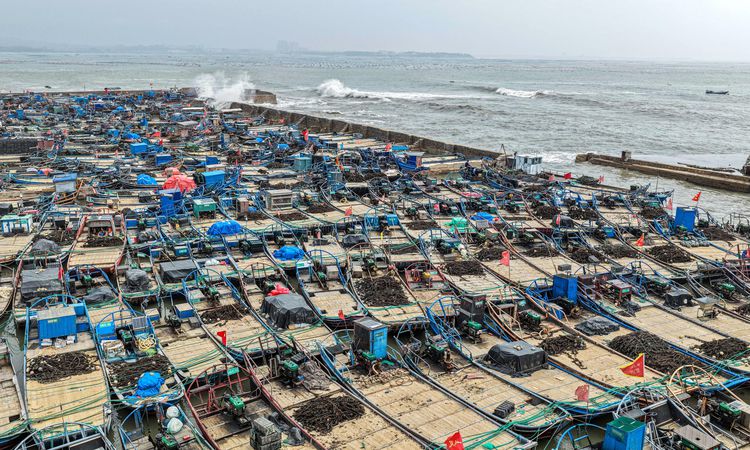 Album: Precautions Increased Against Typhoon Bavi and Heavy Rains in China - News