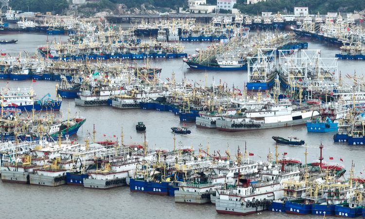 Sıcak Gündem: Albüm: Çin'in Zhejiang eyaleti yaklaşan Dolphin Tayfunu'na karşı acil durum tedbirlerini devreye