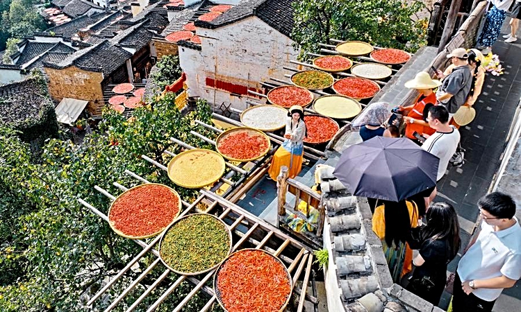 Albüm: Çin'de sonbahar hasat manzaraları turistlerden yoğun ilgi görüyor: Gelişmeler Takip Ediliyor