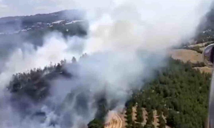 Flames in Altıeylül - News