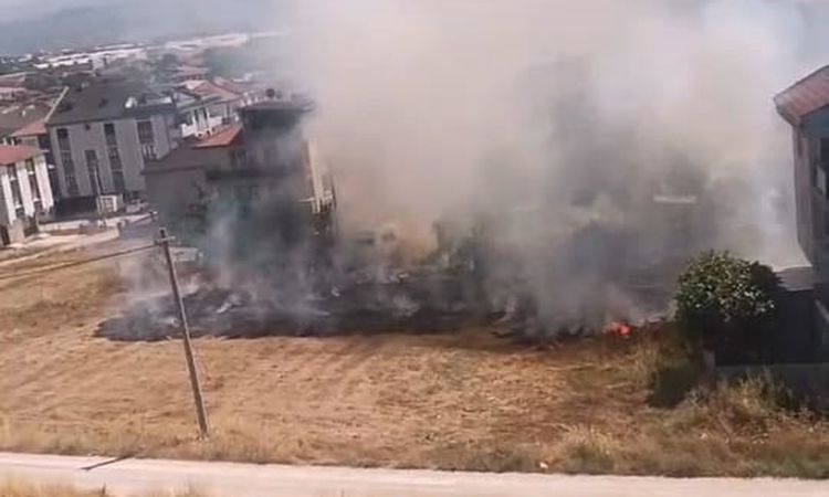 20 acres of agricultural land was damaged in the stubble fires - Breaking News