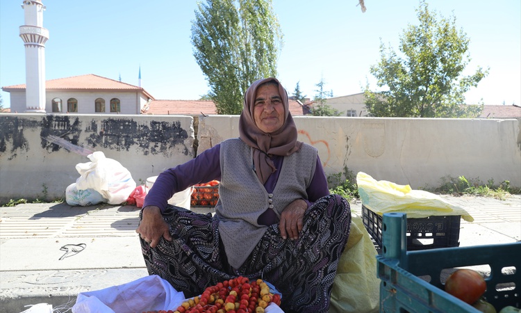 Ankara Çubuk'ta yaban meyveleri pazarlarda kilogramı 80-100 liradan satılıyor - Son Dakika Bilgileri
