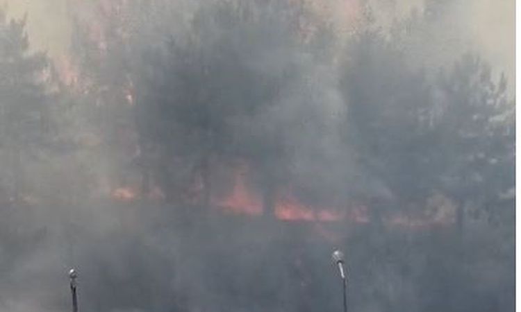 Flames in METU Forest in Ankara - Last Minute
