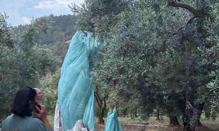 Ayrıntılar Netleşti: Anlık hava değişimi yamaç paraşütçülerine yaramadı - Son Dakika: Gelişmeler Takip Ediliyo