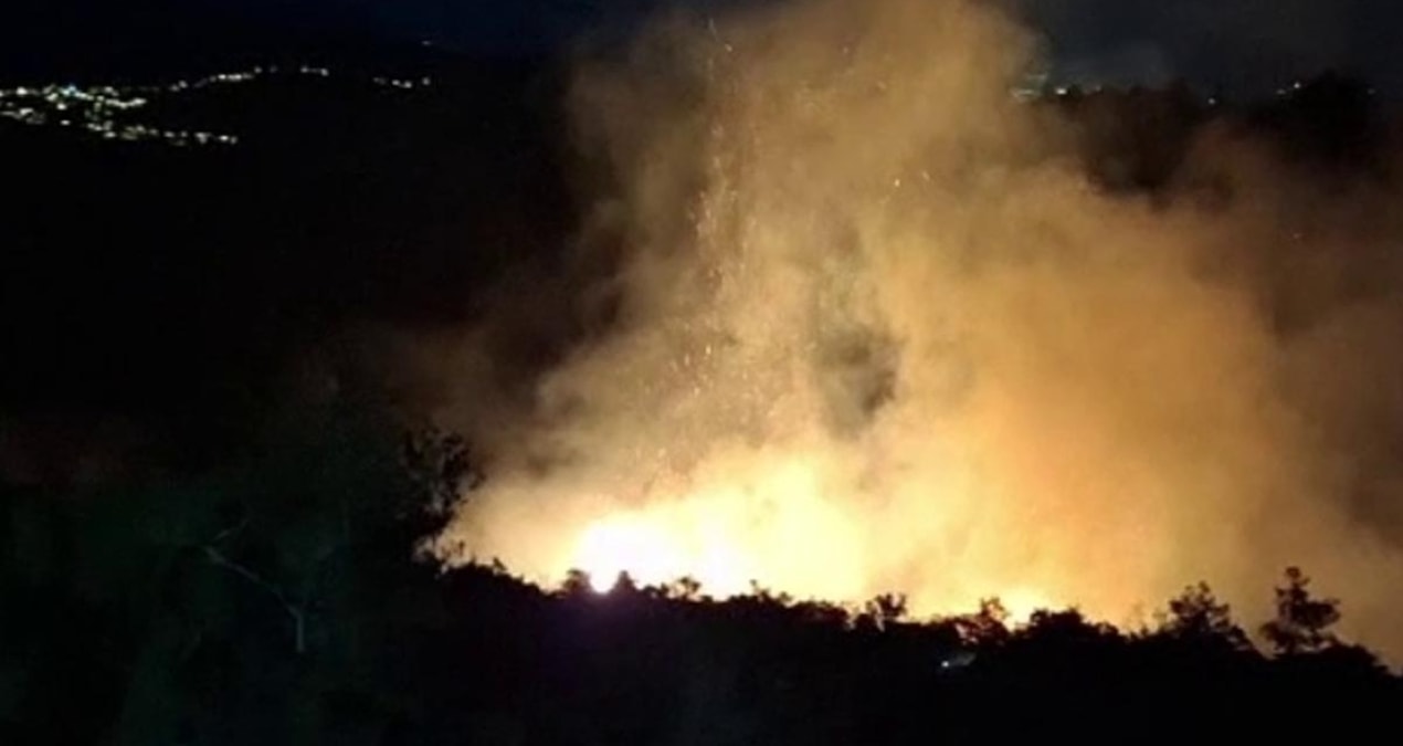 Son Gelişme: Antakya'da orman yangını kısa sürede söndürüldü - Haberleri - Son Dakika Bilgileri