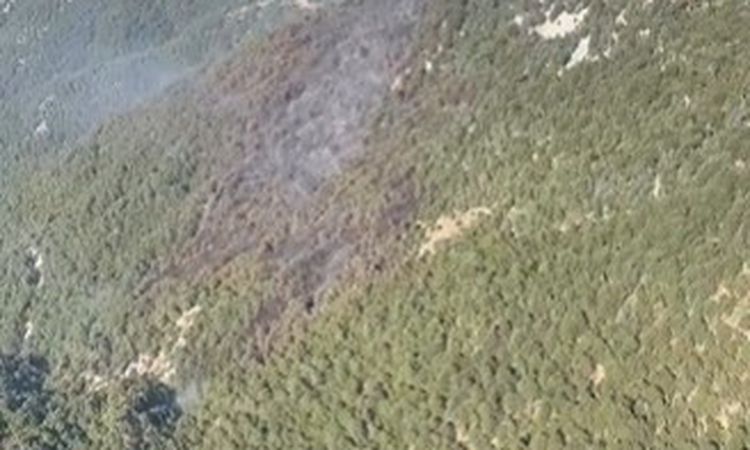 Antalya'daki orman yangını kontrol altına alındı | İşte Tüm Ayrıntılar